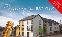 Bluebay Homes leaflet design